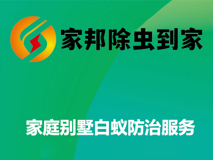 家庭別墅白蟻防治