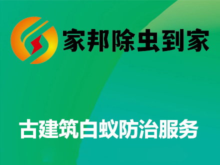古建筑白蟻防治