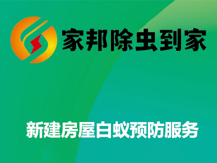 新建房屋白蟻預(yù)防