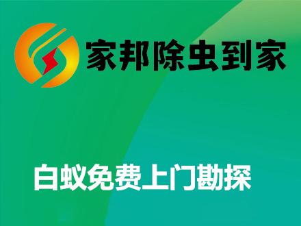白蟻免費(fèi)上門勘察