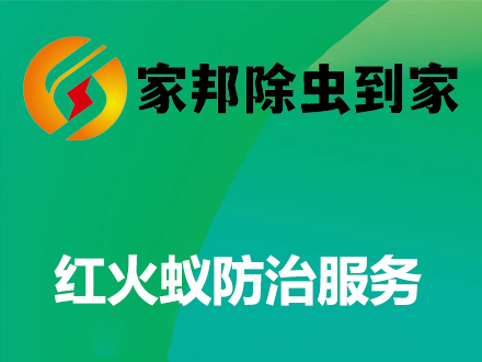 紅火蟻防治服務(wù)