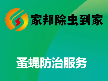 蚤蠅防治服務(wù)