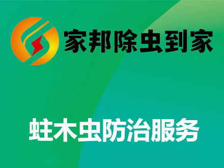 蛀木蟲防治服務(wù)