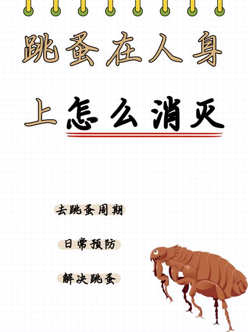 人身上有跳蚤該如何處理？這些方法要知道