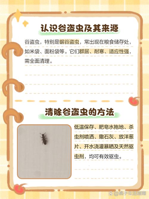 了解雜擬谷盜蟲特性及防治方法，守護(hù)日常生活與食品安全