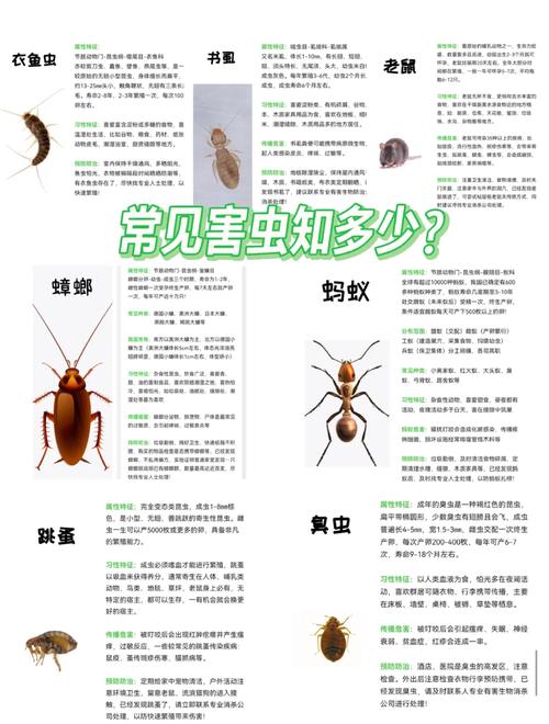 家庭害蟲黑菌蟲危害大！快來了解防治方法及識別特征