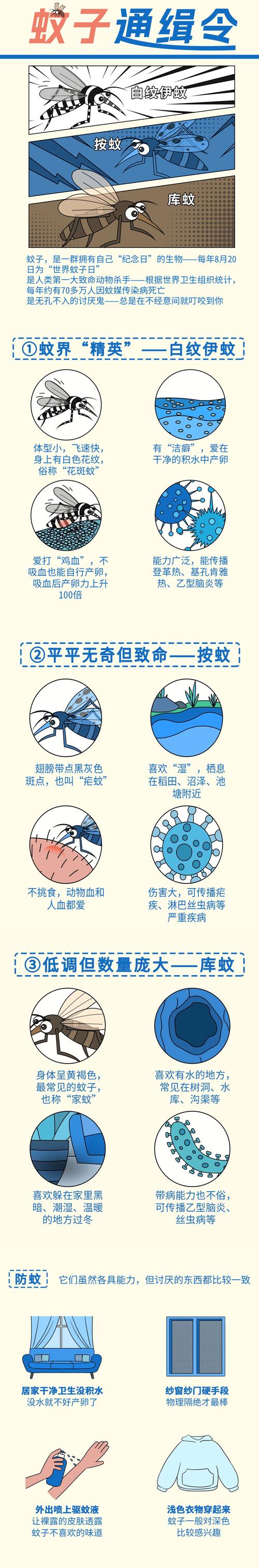 伊蚊危害大，傳播多種疾病！繁殖力強易滋生，快了解防治方法