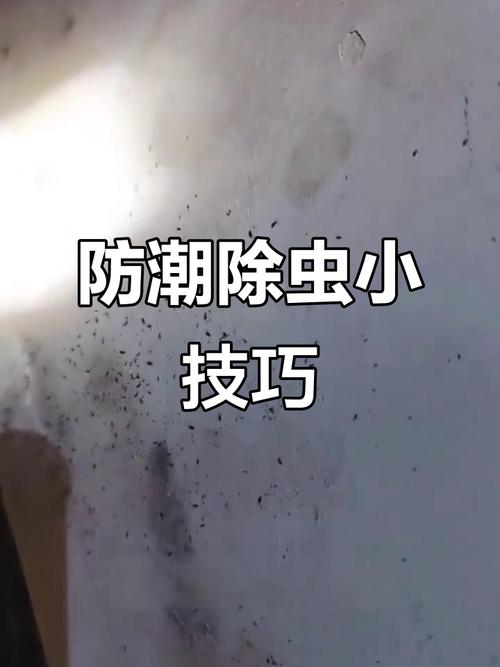 跳蟲危害大，偏愛陰濕角落，如何預防家里出現跳蟲？